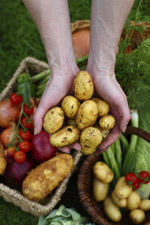 hands with food