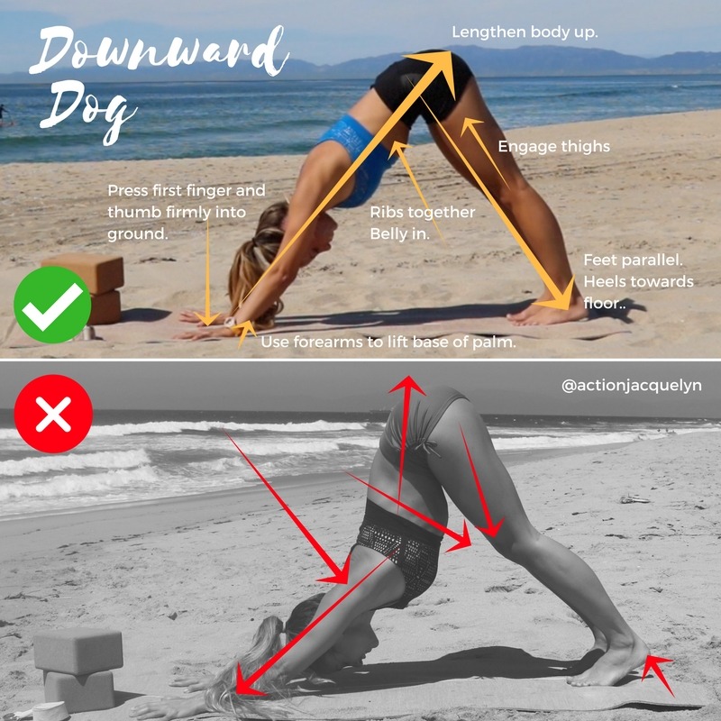 How To Do Downward Dog ActionJacquelyn